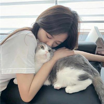茅趸王